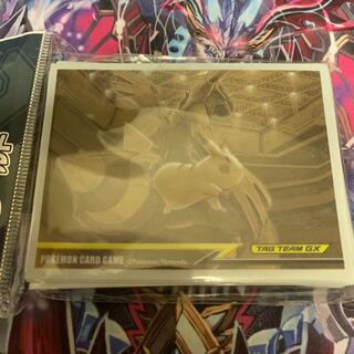 ポケモン公式デッキシールド