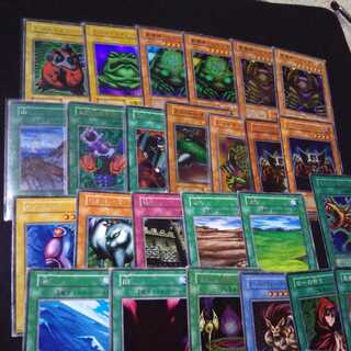 pepper様 専用！ 1枚