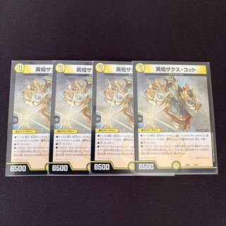 Eich Zaks Cotto 5/????????????