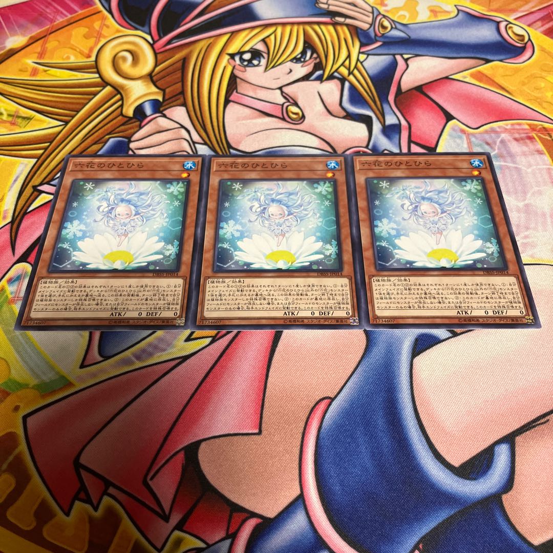 Rikka Petal Normal JP014