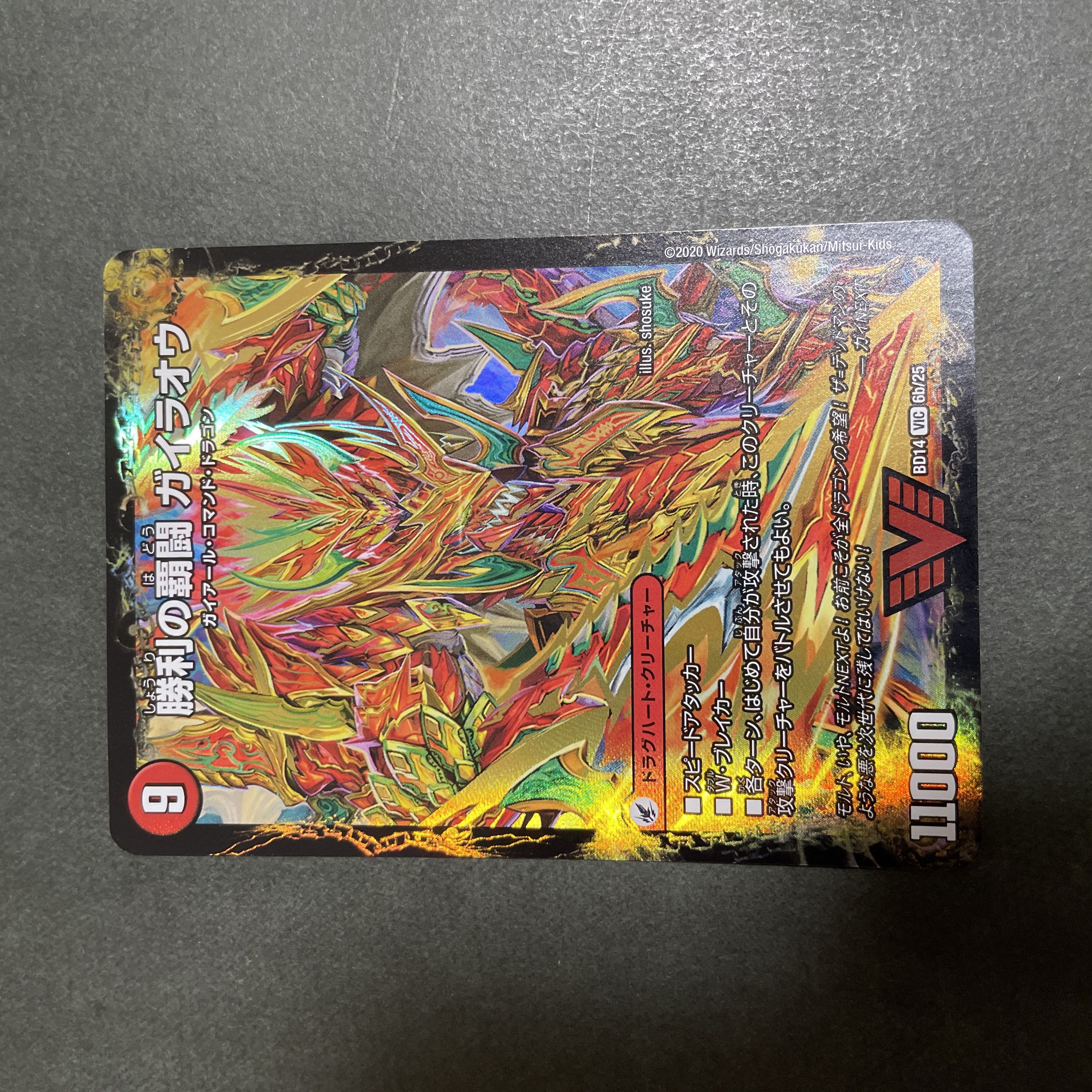 Ha Fighting Shoguryu Sword Gaiowu Burn｜Ha Fighting Gaiowu VIC 6a/25｜6b/25