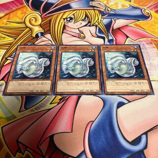 White Moray Normal JP018 1枚