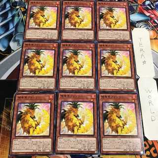 陽竜果フォンリー 1 ノーマル 9枚セット てら