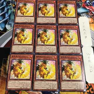 陽竜果フォンリー 2 ノーマル 9枚セット てら