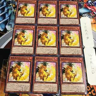 陽竜果フォンリー 3 ノーマル 9枚セット てら