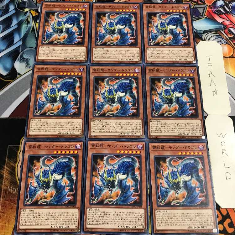 雷獣龍-サンダー・ドラゴン 5 ノーマル 9枚セット てら