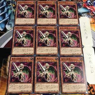 薔薇の聖騎士 1 ノーマル 9枚セット てら