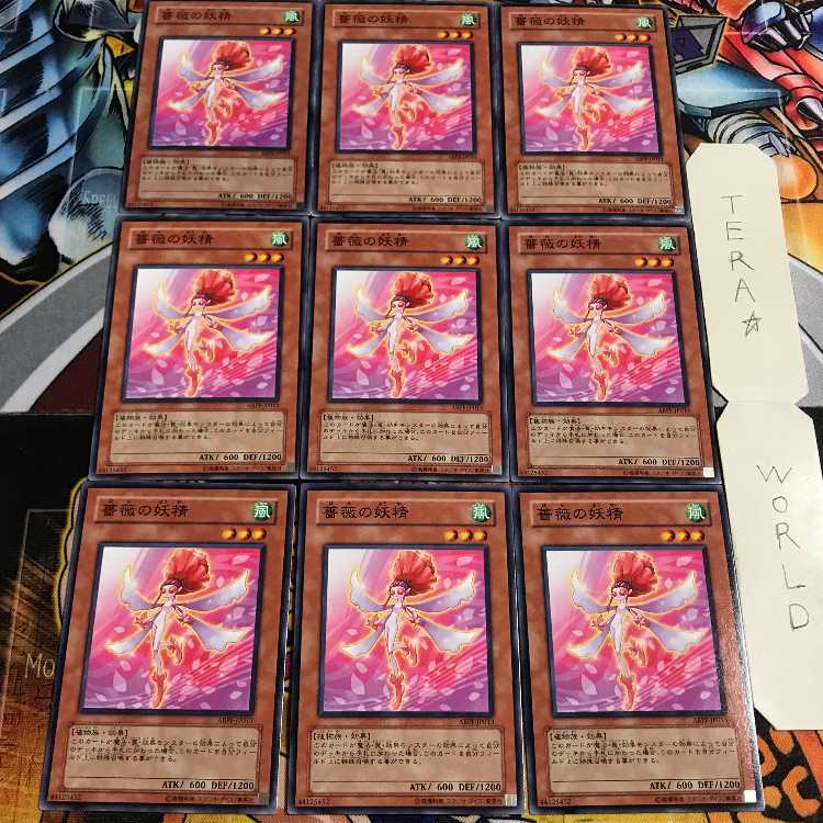 Rose Fairy 1 Normal, set of 9 Tera