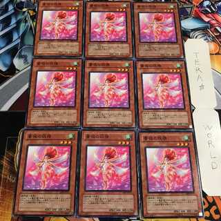 薔薇の妖精 2 ノーマル 9枚セット てら