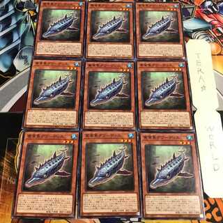 貪食魚グリーディス 5 ノーマル 9枚セット てら