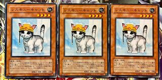 Rescue Cat Normal JP153