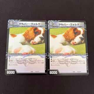 Silver Volg｜Take Down King Gaear Killer Dragon (lower) 111a/???? ｜111b/?????????