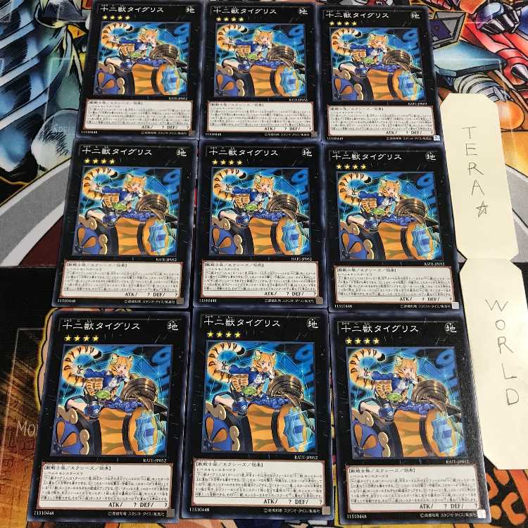 十二獣タイグリス 5 ノーマル 9枚セット てら