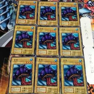 舌魚 4 初期 ノーマル 9枚セット てら