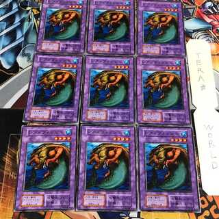 レア・フィッシュ 4 初期 ノーマル 9枚セット てら