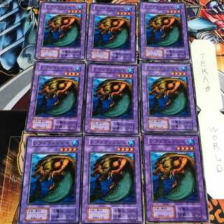 レア・フィッシュ 5 初期 ノーマル 9枚セット てら