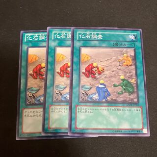 Fossil Dig Normal 3 pieces Special Price