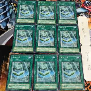 恵みの雨 2期ver 5 ノーマル 9枚セット てら