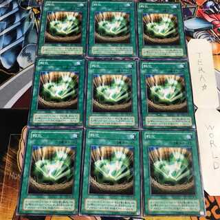 孵化 2期ver 1 ノーマル 9枚セット てら