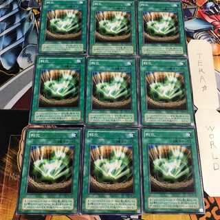 孵化 2期ver 5 ノーマル 9枚セット てら