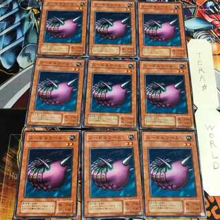 Needle Worm 2nd period ver 5 Normal 9-card set Tera