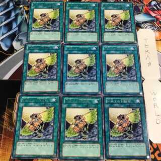 Gladiator Beast's Respite 5 rare, set of 9 Tera.