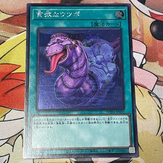 貪欲なウツボ　シークレット