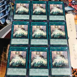 星遺物の守護竜 4 レア 9枚セット てら