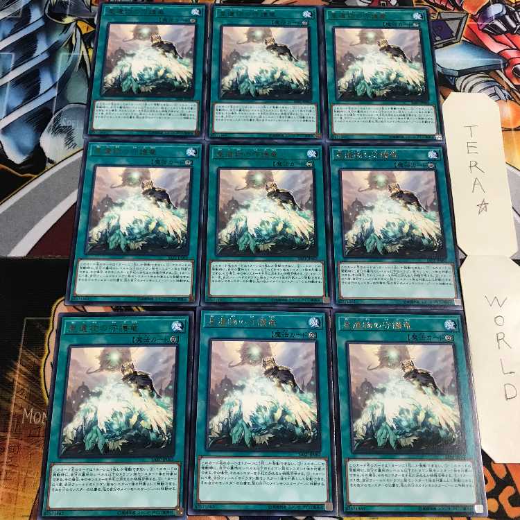 星遺物の守護竜 5 レア 9枚セット てら