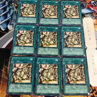 魔法族の里 4 レア 9枚セット てら