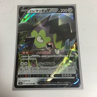 ★ガラル　マッギョV★