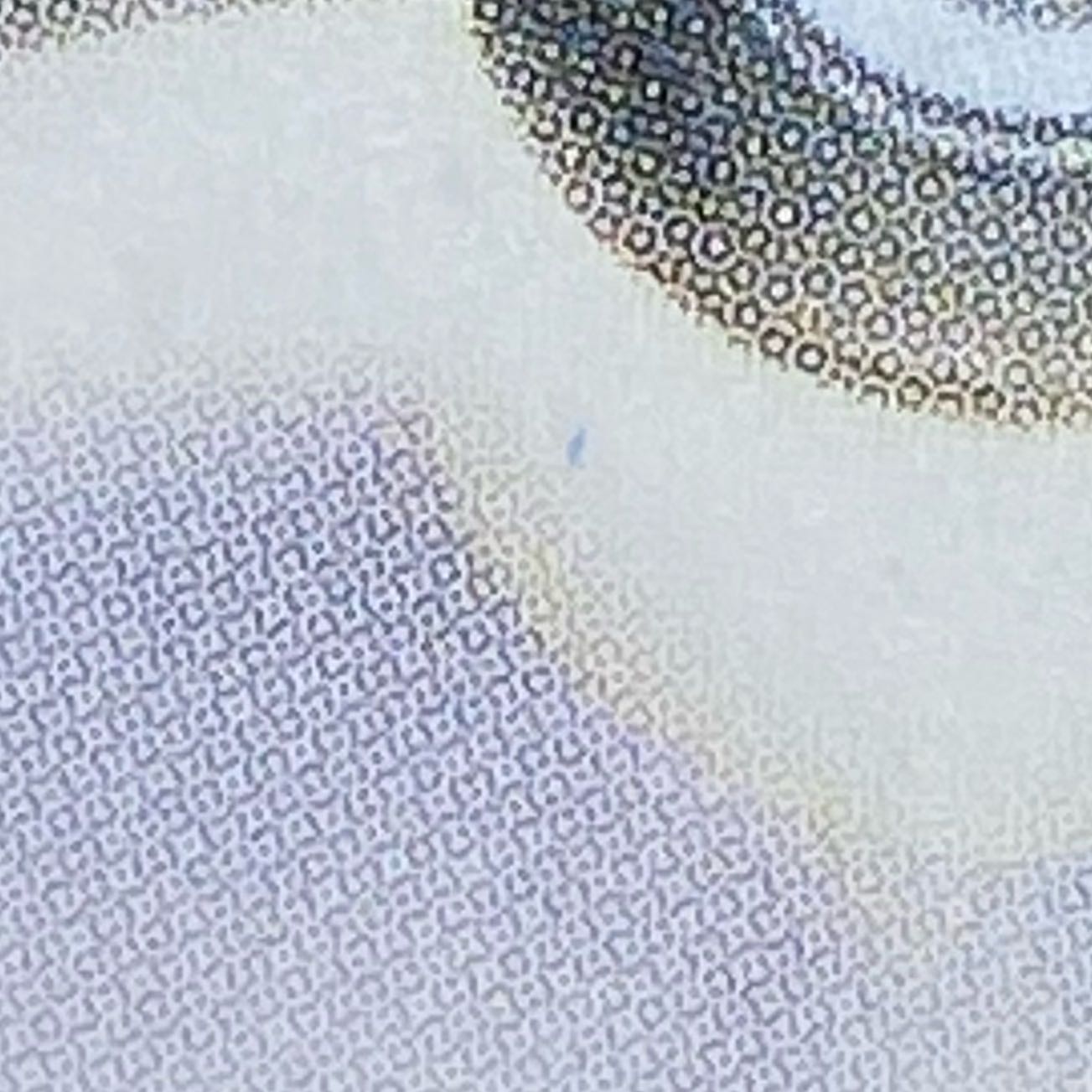 O-Koke-sama and Maikohan Pikachu PROMO 221/XY-P