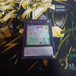 六花聖ストレナエ