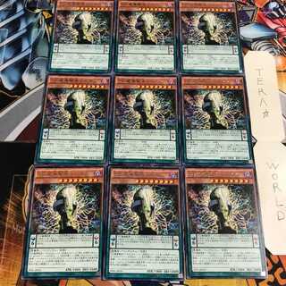 DD魔導賢者トーマス 5 レア 9枚セット てら