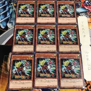 SR電々大公 4 レア 9枚セット てら