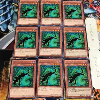 カゲトカゲ 4 レア 9枚セット てら