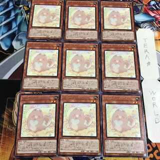 メルフィー・パピィ 5 レア 9枚セット てら