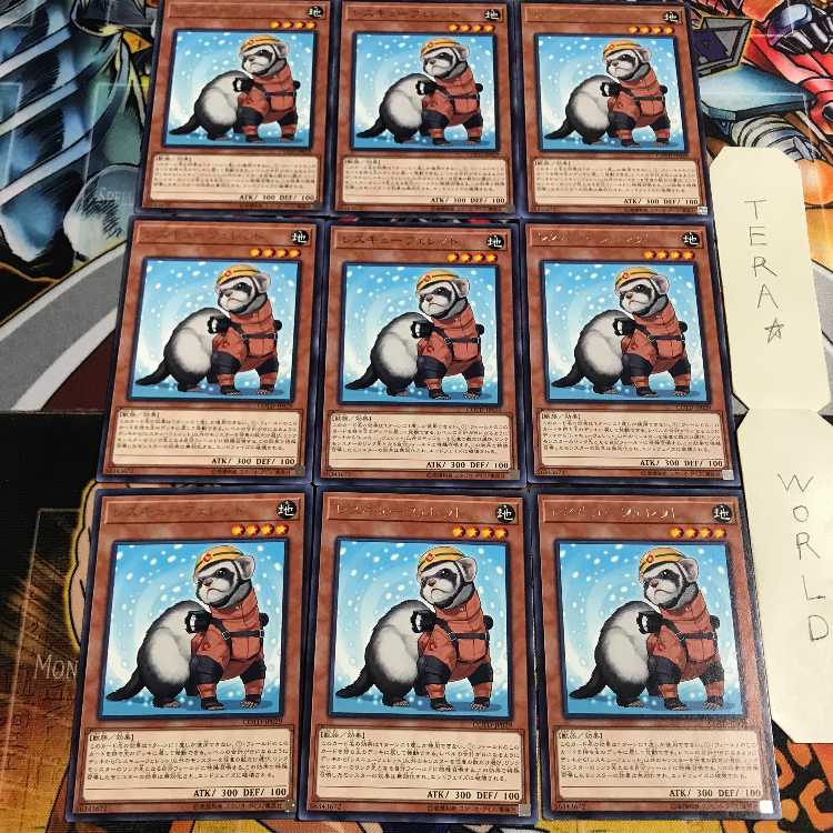 Rescue Ferret 4 rare, set of 9 Tera.