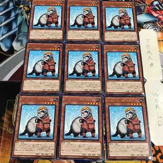 Rescue Ferret 5 rare, set of 9 Tera.