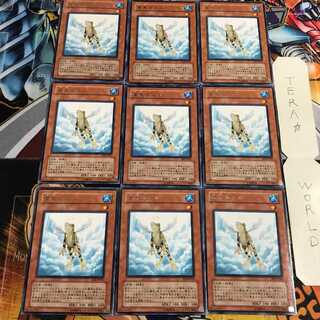 Treeborn Frog 3 rare, set of 9, Tera.