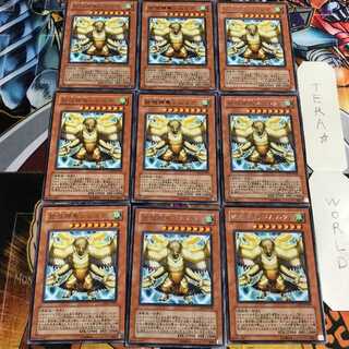 始祖神鳥シムルグ 5 レア 9枚セット てら