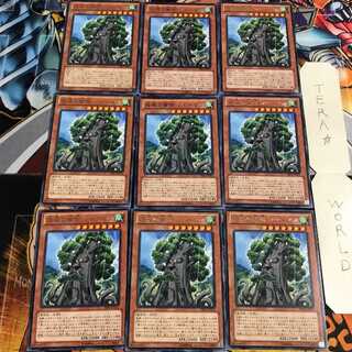 森羅の賢樹 シャーマン 4 レア 9枚セット てら