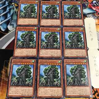 森羅の賢樹 シャーマン 5 レア 9枚セット てら