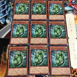 森羅の実張り ピース 2 レア 9枚セット てら