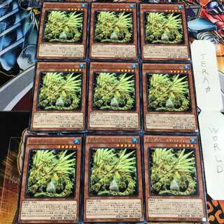 水晶機巧-サルファフナー 4 レア 9枚セット てら