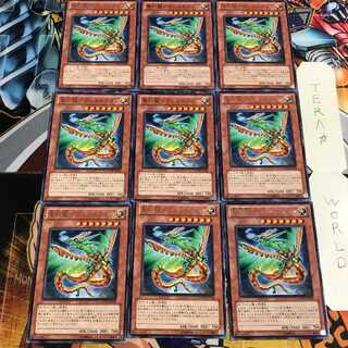 聖刻龍-ウシルドラゴン 5 レア 9枚セット てら