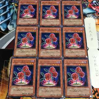 返り咲く薔薇の大輪 4 レア 9枚セット てら