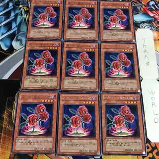 返り咲く薔薇の大輪 5 レア 9枚セット てら