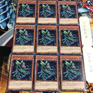 捕食植物オフリス・スコーピオ 5 レア 9枚セット てら