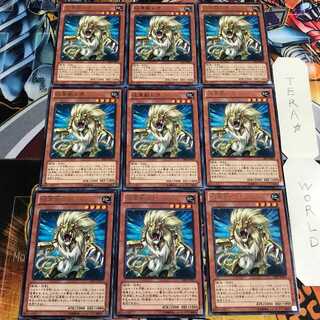 Heraldic Beast Leo 4 rare, set of 9 Tera.